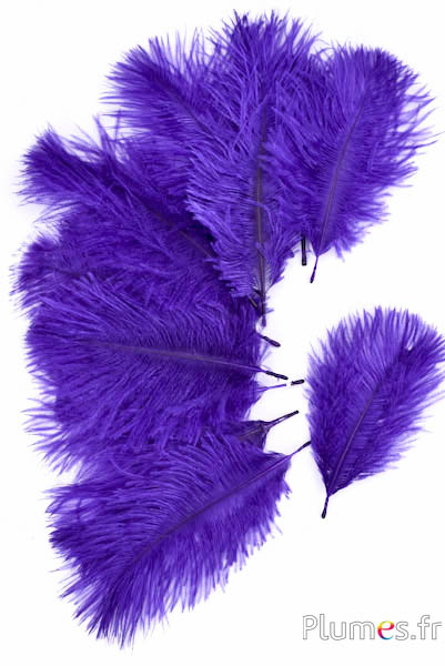 Struisvogel Bellies -8-13 cm - violet